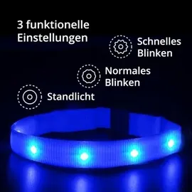 petsation Leuchtendes Katzenhalsband blau
