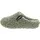 Verbenas York Curly Grün 39