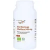 Bio Moringa Oleifera 500 mg Kapseln 120 St.