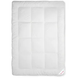 Paradies Winterdecke 135x200 cm Avera Lyocell Bettdecke