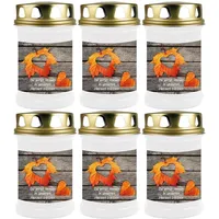 HS Candle Grabkerze (6-tlg), Grabkerze Brenndauer 40 Stunden viele vers. Variationen und Motive weiß