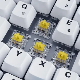 Sharkoon Skiller SGK50 S3 PBT, weiß/hellblau, LEDs RGB, hot-swap, Gateron G Pro 3.0 YELLOW, USB, DE (4044951039197)