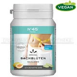 Hager Pharma GmbH Bachblüten N 45 Figur Kaugummi Melone