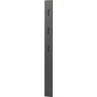 Germania Garderobenpaneel 3728-547, Graphit, mit drei ausklappbaren Kleiderhaken aus Metall, 15 x 170 x 3 cm (BxHxT)