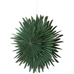 Ebuy24 Sälen Weihnachtsstern mit Licht Papier Ø46 cm Pendelleuchte grün.