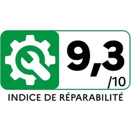 Rowenta Silence Force Allergy+ RO7457 weiß/grau