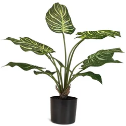 Hochwertige  Calathea - Pfauen-Korbmaranthe Kunstpflanze grün 65 cm