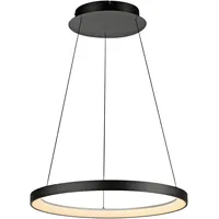 Paul Neuhaus Hoop 2851-18 LED-Pendelleuchte LED LED fest eingebaut 37W Schwarz