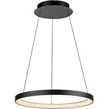 Paul Neuhaus Hoop 2851-18 LED-Pendelleuchte LED LED fest eingebaut 37W Schwarz