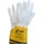 AS Arbeitsschutz GmbH Nitras ARGON PRO Gr.10 grau/ocker VE: 10