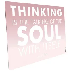 mySPOTTI Mini-Spritzschutz »Old rose Soul«, , Text