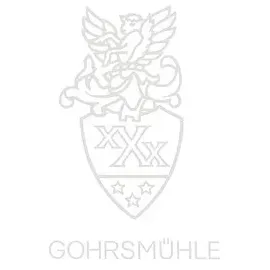 Gohrsmühle Briefpapier mit Wasserzeichen weiß DIN A4 100 g/qm 200 Blatt