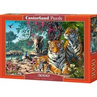 Castorland Puzzle 3000 Teile
