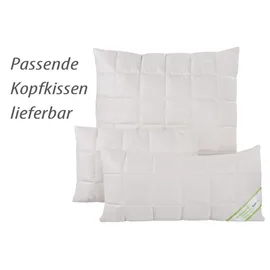 franknatur Bettdecke 135x200 Winter Merino Schurwolle kbT Bio Baumwolle kbA Duo-Decke Natalia,