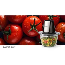 Gastronoma 18210101 Zerkleinerer