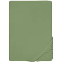 biberna 0012344 Frottee-Stretch 140 x 200 - 160 x 200 cm fichte