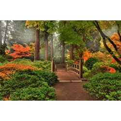 Fototapete PAPERMOON "Japanischer Garten", bunt, B:5,00m L:2,80m, Vlies, Tapeten