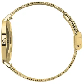 XCOAST Siona 2 Elegance Gold