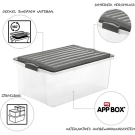 Rotho Aufbewahrungsbox Compact 57,5 x 40,0 x 25,0 cm 3-tlg. grau/transparent