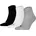 Plain 3P 3er Pack Mehrfarbig 39-42