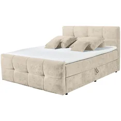 riess-ambiente Boxspringbett TOULOUSE 160x200cm beige inkl. Matratze und Topper mit Bettkasten