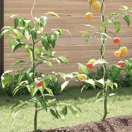 vidaXL Tomaten-Spiralstäbe 20 Stk. 110 cm Verzinkter Stahl