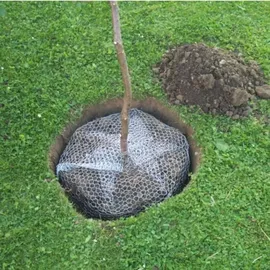 Siena Garden Wühlmauskorb verzinkt Ø 60 cm Höhe 70 cm, ausfaltbar