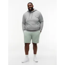 Tommy Hilfiger Big & Tall Chinoshorts "BT-DENTON 9.5 ESS TWILL-B", Herren, Gr. 46, N-Gr, minty grau, Web, Obermaterial: 97% Baumwolle, 3% Elasthan, TOMMY HILFIGER BIG & TALL, ca. Mitte Knie, Hosen Chinoshorts, Twill, slim fit, Große Größen