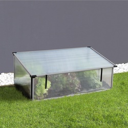 Vitavia, Frühbeet "Levana 2", mit Aufstelldach, grau