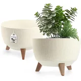 Kadax Blumentopf aus Kunststoff mit drei Einsteckstützen, 29 cm Creme