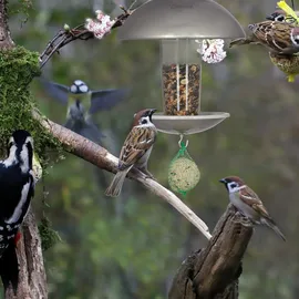 Relaxdays Vogelfutterspender, Vogelhaus