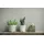 Marburg Monochromatic Marvel Vliestapete 53 cm x 10 m grau 34193