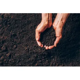 PROGARDEN Komposter, schwarz | Gr.: onesize