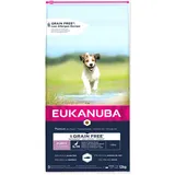 Eukanuba Grain Free Puppy Small / Medium Breed mit Lachs Hundefutter trocken