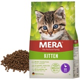 MERA Cat Kitten Ente