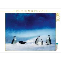 Calvendo Lustige Pinguinfamilie im Schneesturm Puzzle