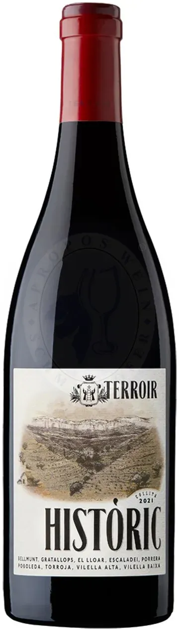 Terroir Historic Negre Priorat Doq 2021 Terroir al Límit 0,75l