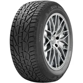 Riken Snow 225/55 R17 101H