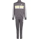 adidas Seasonal Essentials Tiberio Trainingsanzug Grau/Grün 176