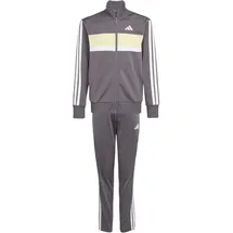 adidas Seasonal Essentials Tiberio Trainingsanzug Grau/Grün 176