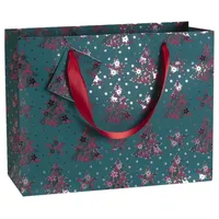 Clairefontaine 5x Premium Velvet 2, Geschenktasche 32x13x24,5 - Grün,