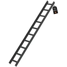 Proregal Dachleiter 10 Sprossen
