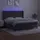 vidaXL Boxspringbett 180 x 200 cm Dunkelgrau
