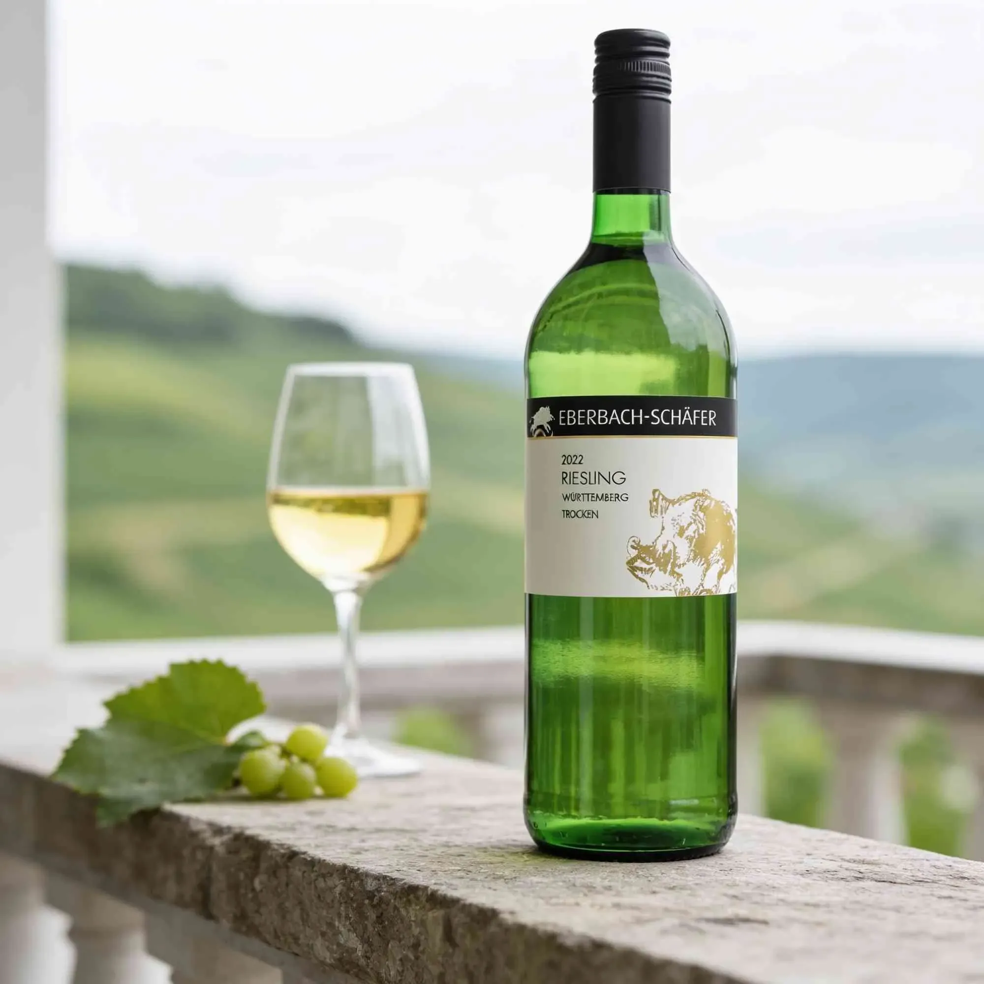 Weingut Eberbach-Schäfer 2022 Eberbach-Schäfer Riesling trocken 2022 Riesling Deutschland
