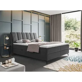 Mirjan24 Boxspringbett Forever, Bett mit zwei Bettkästen, Stilvoll Schlafzimmer Polsterbett (Fresh 32, Größe: 160x200 cm) - Grau