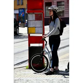 Yedoo Scooter Yedoo Mula Y40 Tretroller mit Luftreifen 20/16 Silber