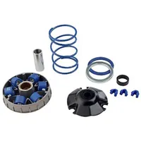 Polini kids Variomatik Polini Hi-Speed für Piaggio Zip