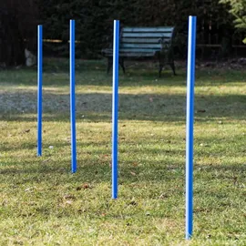 Procyon Agility Set 11 cm Blau