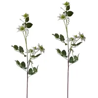 NTK-Collection Clematis Weiß 2er Set 78 cm