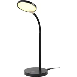 Renkforce RF-5734674 Schwarz